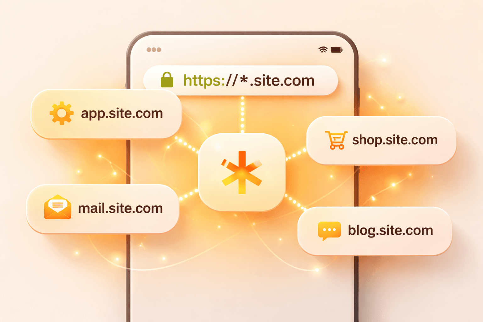 Wildcard SSL sertifikası görseli